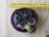 Aubergine-5